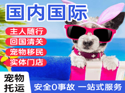 富蕴可可托海航空快递国际宠物托运 【国